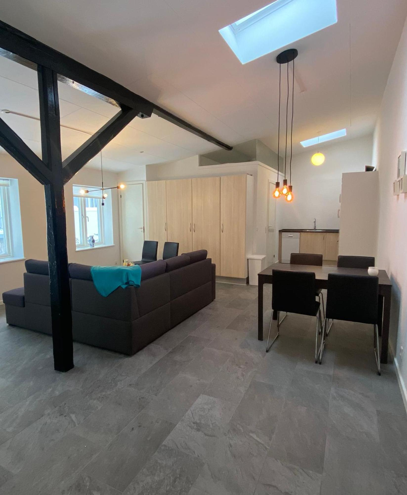Charming - Luxurious 1 Bedroom Apartment In The Heart Of Aalborg Dış mekan fotoğraf